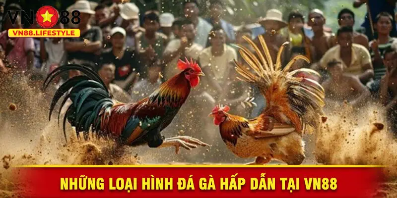 Những Loại Hình Đá Gà Hấp Dẫn Tại VN88