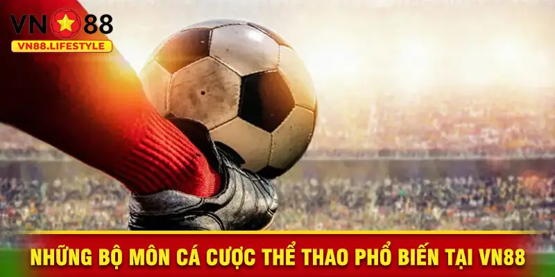 Những Bộ Môn Cá Cược Thể Thao Phổ Biến Tại VN88